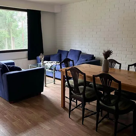 Valkjaervi Sauna On The Apartmán Suur-Miehikkala