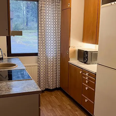 Valkjaervi Sauna On The *