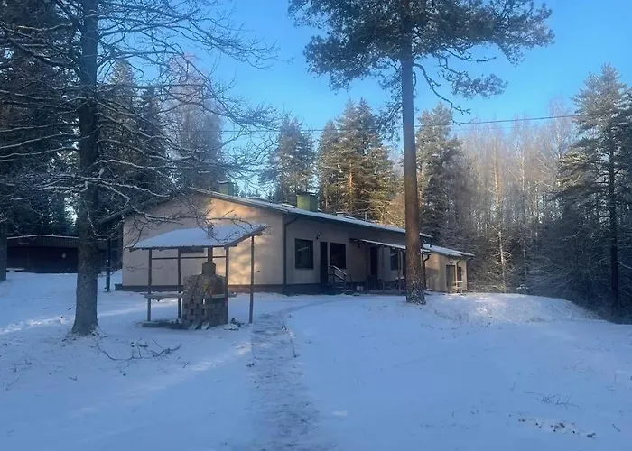 Valkjaervi Sauna On The Apartamento