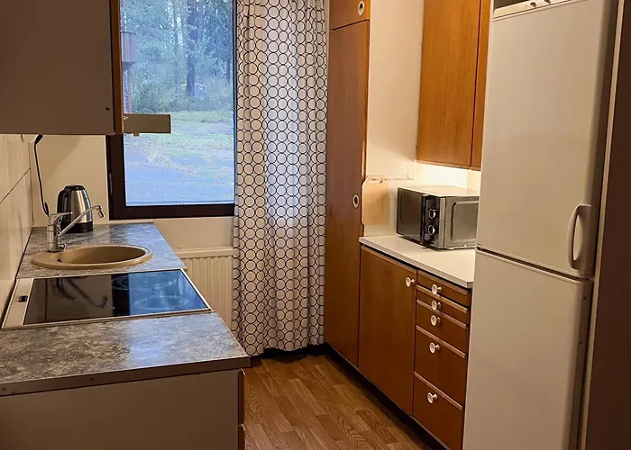 Valkjaervi Sauna On The *